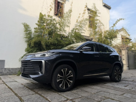 星途凌云 2024款 300T 两驱星耀版