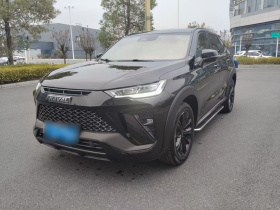 哈弗H6S 2022款 2.0T 两驱智跑版