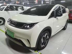 比亚迪 海豚 2021款 405km 时尚版