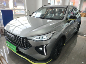 哈弗赤兔 2021款 激擎版 1.5T 黄金兔