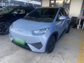 比亚迪 海鸥 2025款 智驾版 305km 活力版