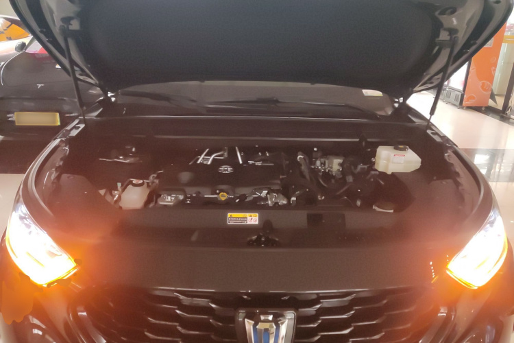 丰田 皇冠陆放 2023款 2.5L HEV两驱进取版（五座）局部细节24