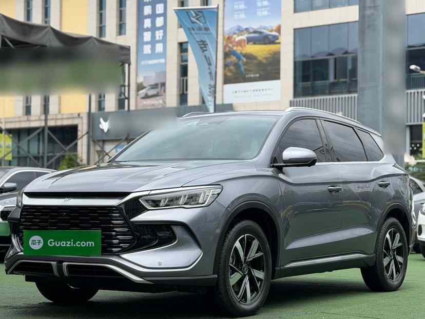 比亚迪 宋Pro新能源 2023款 冠军版 DM-i 110KM超越型(1)