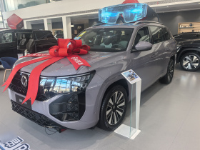 大众 2025款 途昂 Pro 450TSI 四驱纵横版