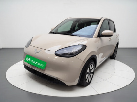 五菱汽车 五菱缤果 2023款 203km 轻享款