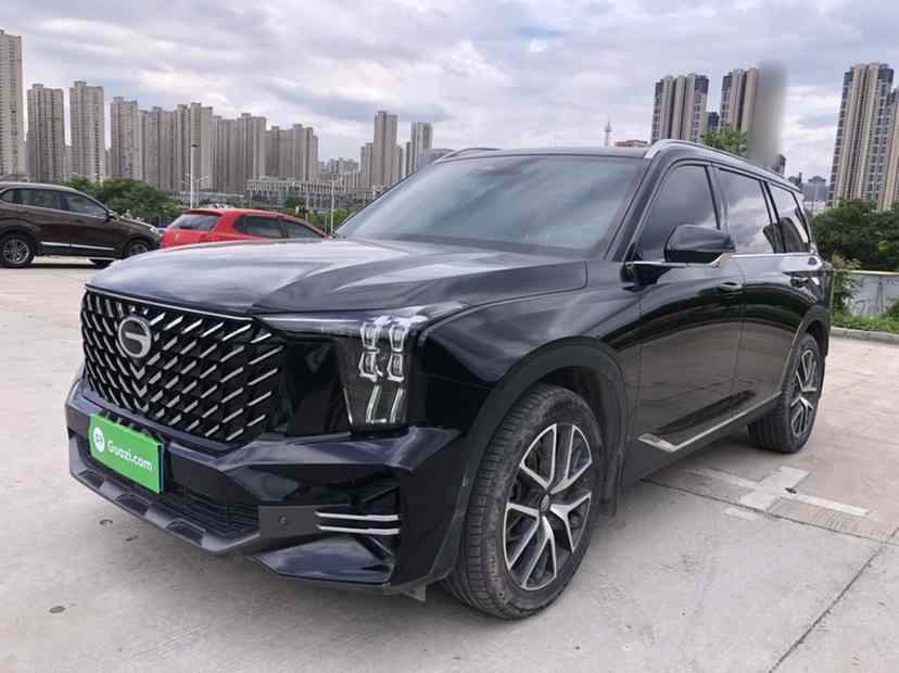 广汽传祺 传祺GS8 2024款 领航系列 2.0TGDI 两驱豪华智联版 7座(1)