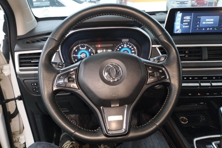 东风风光 风光580 2021款 改款 ☆星版 1.5T 自动豪华型局部细节13