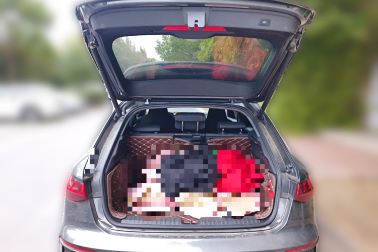 奥迪A3 2022款 Sportback 35 TFSI 进取运动型中控内饰23