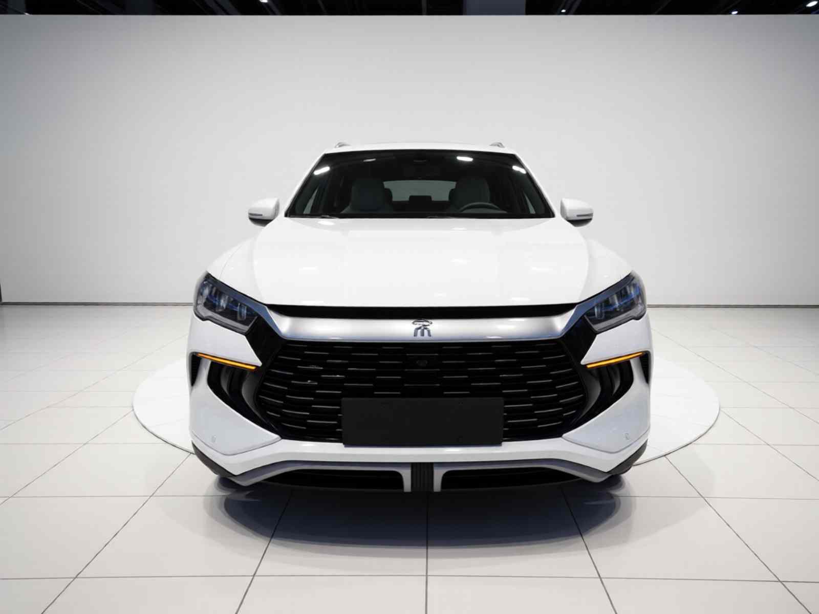 比亚迪 宋Pro新能源 2024款 荣耀版 DM-i 71KM领航型(1)