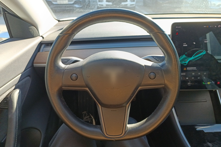 特斯拉 Model 3(进口) 2019款 长续航后驱版局部细节13