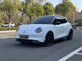 欧拉好猫 2024款 401km 豪华型