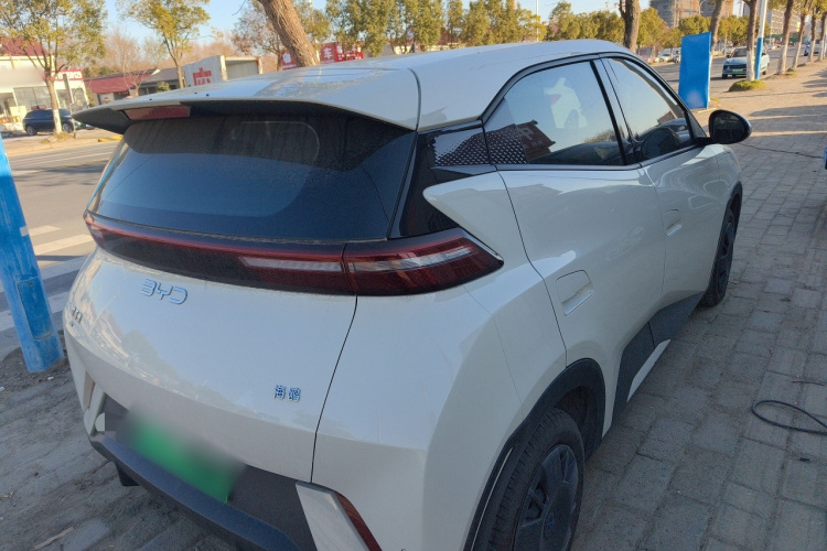 比亚迪 海鸥 2025款 305km 活力版车身外观6005