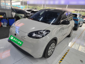 五菱汽车 五菱缤果 2023款 203km 轻享款