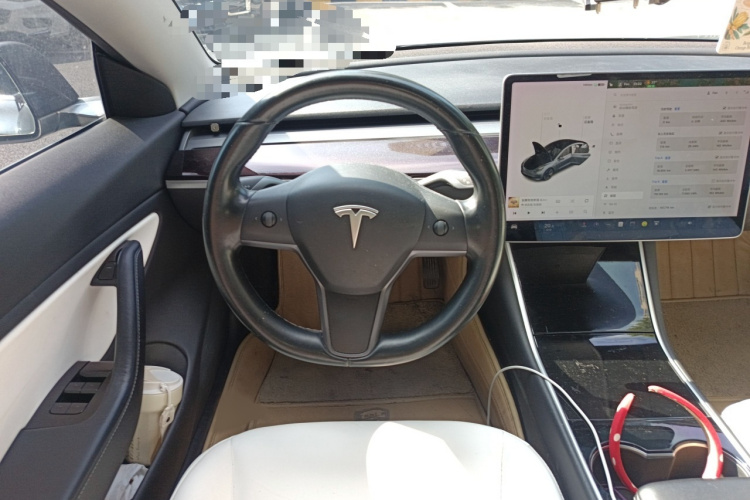 特斯拉 Model 3(进口) 2019款 长续航后驱版局部细节13