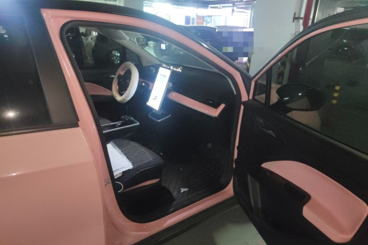 哪吒汽车 哪吒V 2022款 潮 400 Lite 粉色定制款局部细节9005