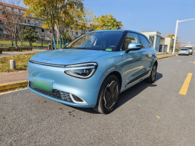 东风纳米 纳米01 2024款 430 Plus