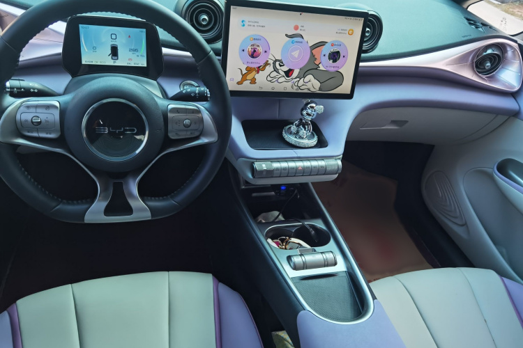 比亚迪 海豚 2021款 405km 自由版车身外观6010