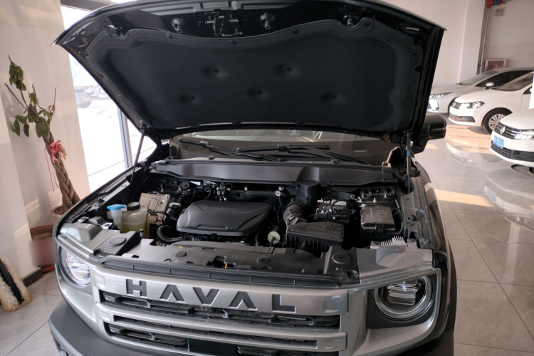 哈弗大狗 2024款 1.5T DCT边牧版机舱底盘24