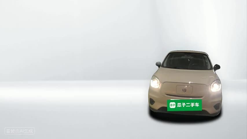 零跑汽车 零跑T03 2022款 珠光版检测视频1