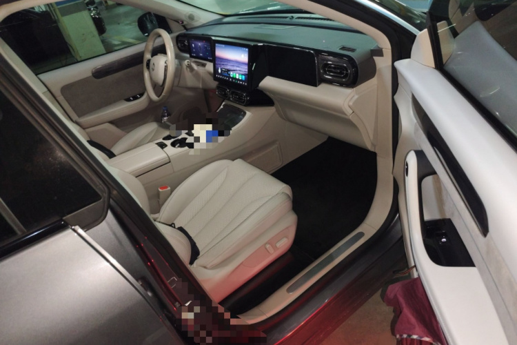 零跑汽车 零跑C11 2021款 改款 豪华版局部细节9005