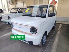 吉利银河 2024款 熊猫mini 200km 耐力熊