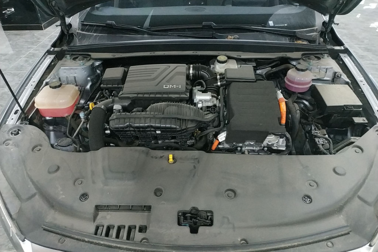 比亚迪 秦PLUS 2024款 荣耀版 DM-i 55KM领先型机舱底盘24