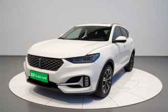 魏牌 VV6 2021款 2.0T 两驱智享+