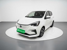 长安欧尚 奔奔E-Star 2020款 心动版 三元锂