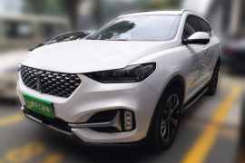 魏牌 VV6 2021款 2.0T 两驱智护+