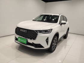 哈弗H6 2021款 第三代 1.5T 自动两驱Pro
