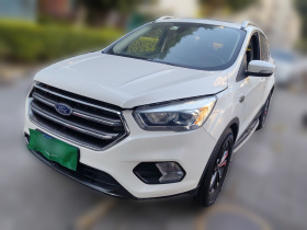 福特 翼虎 2019款 EcoBoost 180 两驱铂翼型 国VI