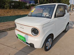 吉利银河 2024款 熊猫mini 200km 耐力熊