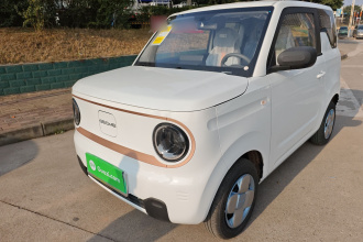 吉利银河 2024款 熊猫mini 200km 耐力熊