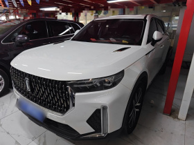 奔腾T99 2020款 20TD 自动豪华型