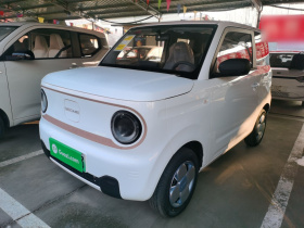 吉利银河 2024款 熊猫mini 200km 耐力熊
