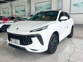 东风风行 风行T5 EVO 2021款 1.5TD DCT铂金版