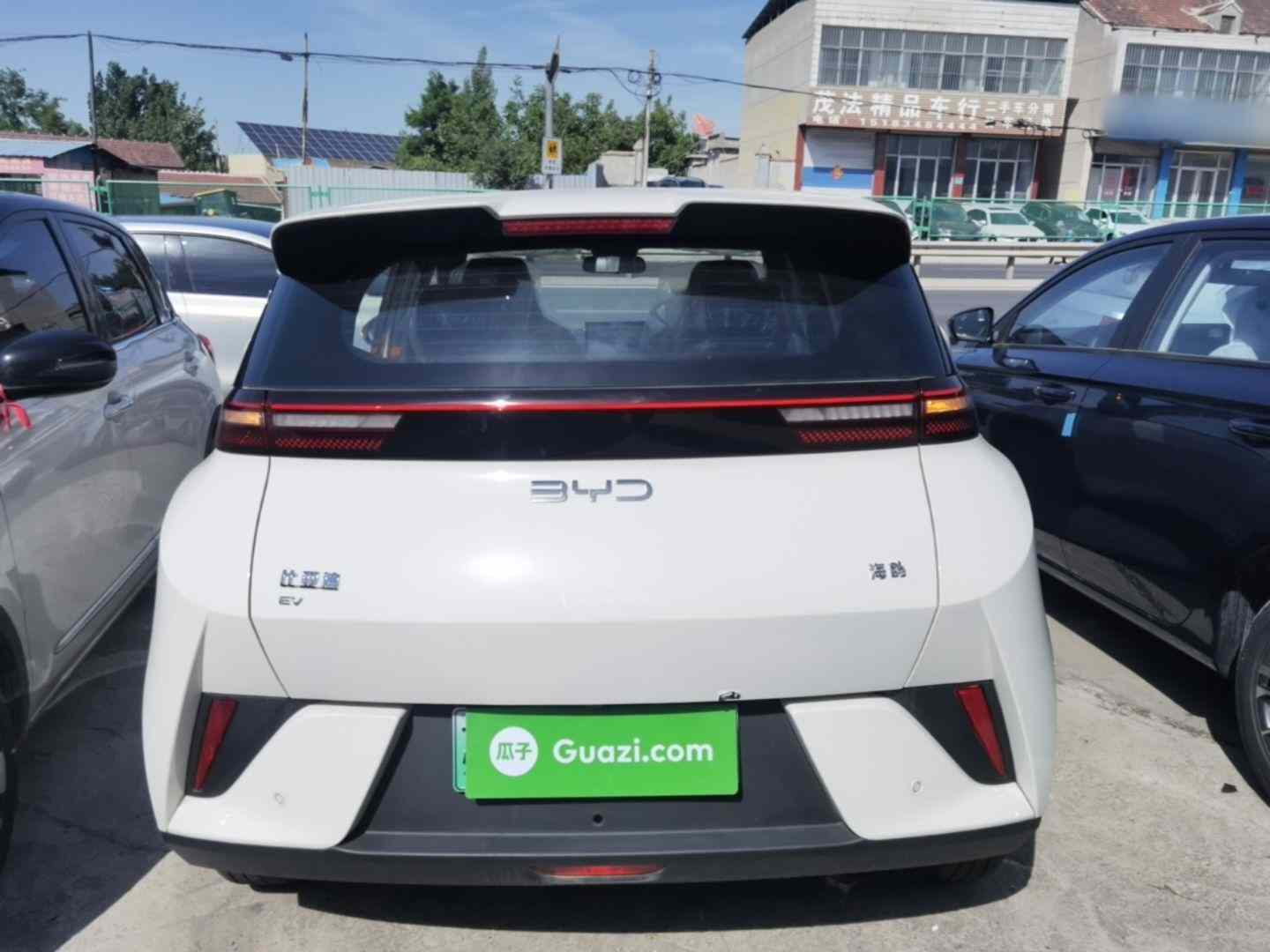 比亚迪 海鸥 2025款 智驾版 305km 活力版(4)