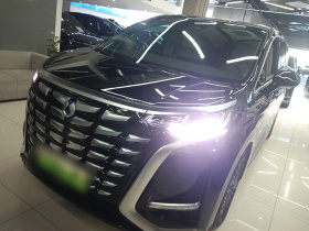 腾势D9 2022款 DM-i 1040 尊贵型