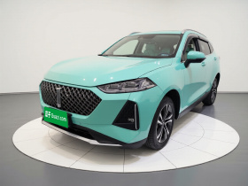 魏牌 玛奇朵 2021款 1.5L DHT大师版