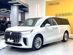 岚图汽车 岚图梦想家 2022款 低碳版 想+智驾包