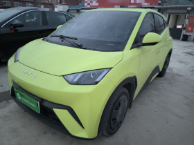 比亚迪 海鸥 2023款 活力版