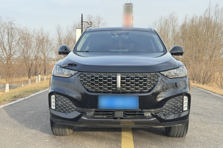 魏牌 VV6 2020款 2.0T 两驱智享+车身外观6007