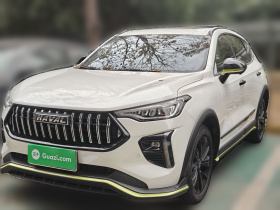 哈弗赤兔 2021款 激擎版 1.5T 黄金兔