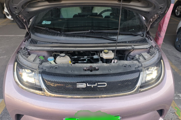 比亚迪 海豚 2021款 405km 时尚版机舱底盘24