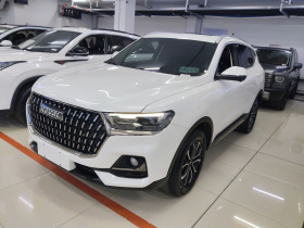 哈弗H6 2023款 国潮版 1.5T 自动都市版