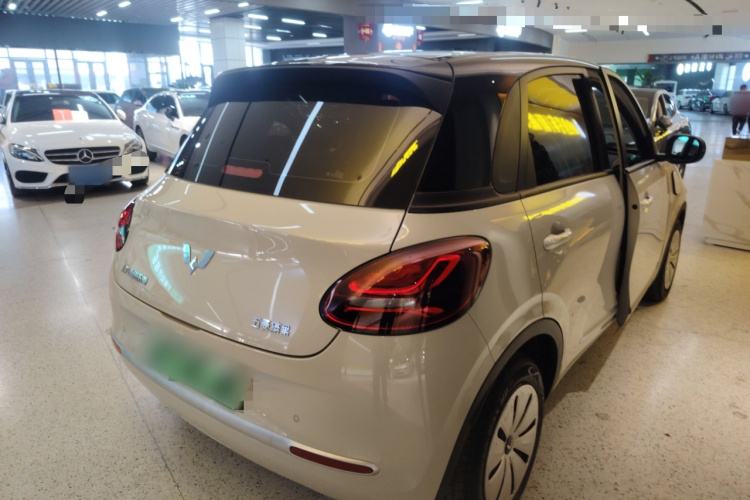 五菱汽车 五菱缤果 2023款 203km 轻享款车身外观6005