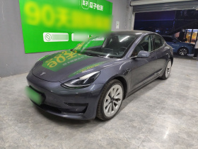 特斯拉 Model 3 2021款 改款 标准续航后驱升级版 3D1