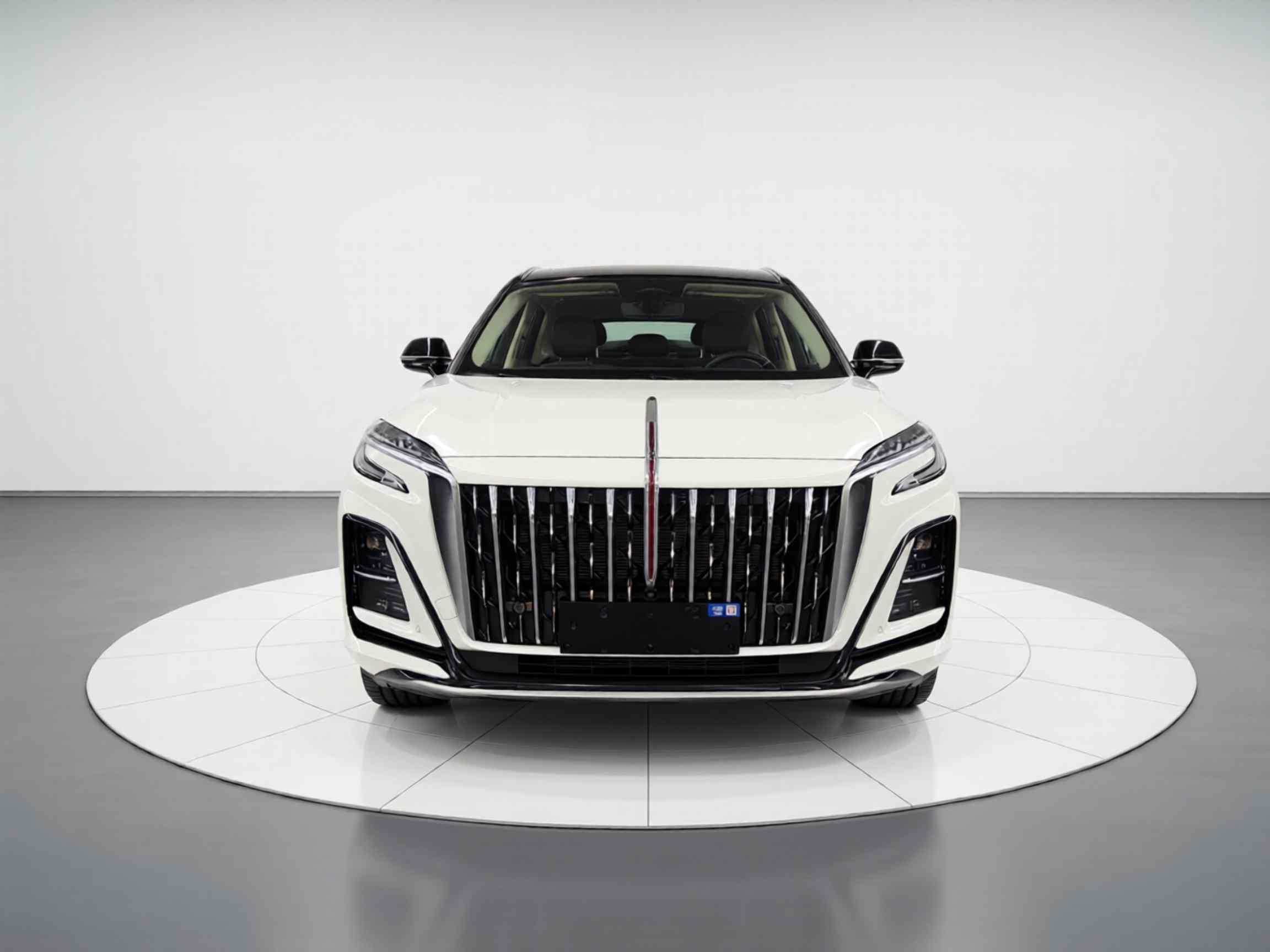 红旗HS3 PHEV 2025款 117km 劲为PLUS版(1)