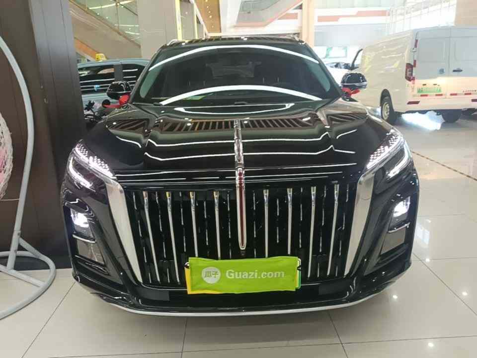 红旗HS3 PHEV 2024款 115km 劲为版(1)