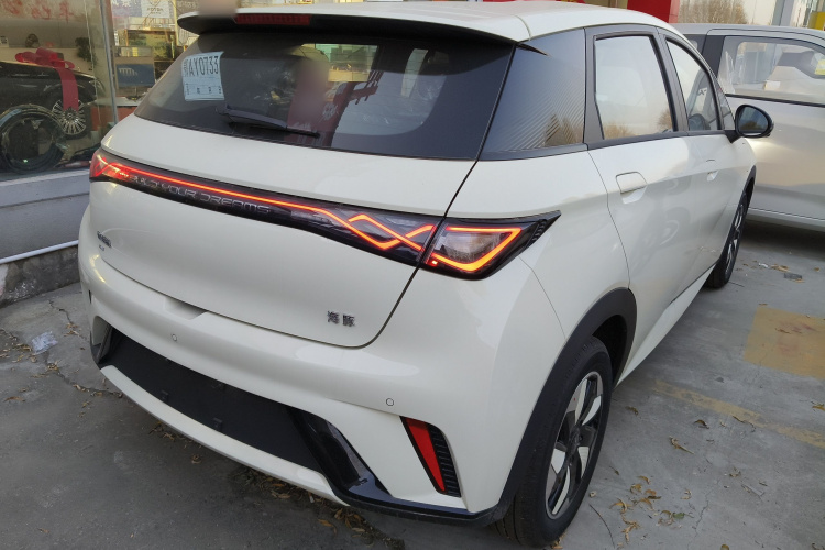 比亚迪 海豚 2025款 420km 自由版车身外观6005